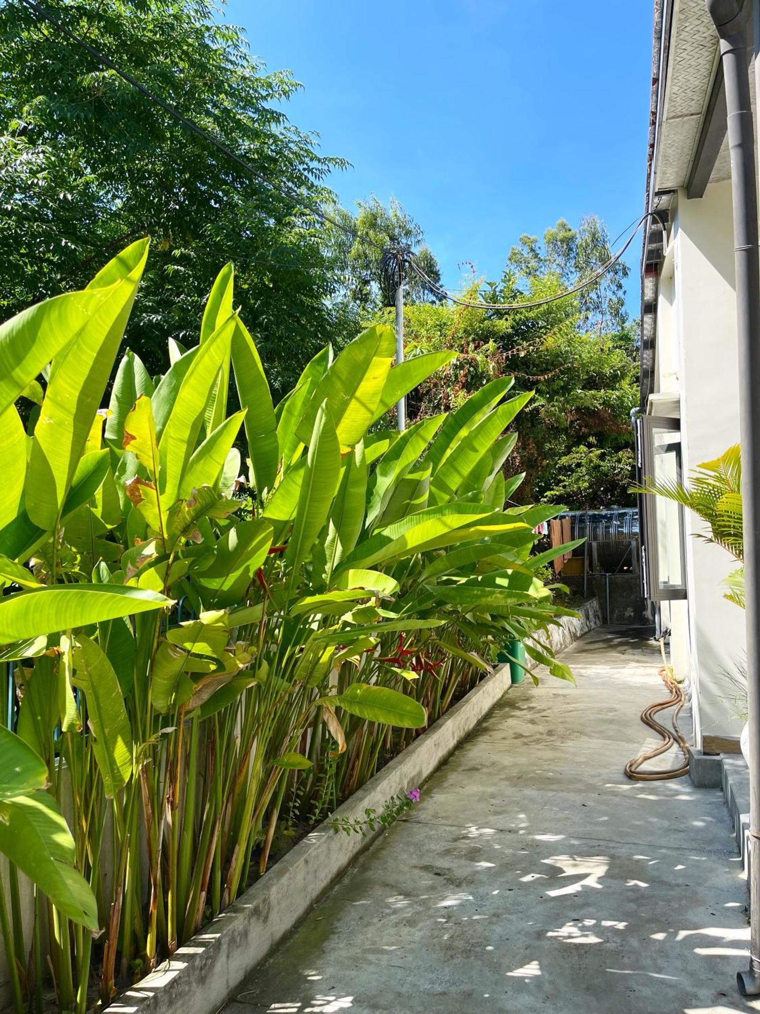Crest House Beachside - Three-Bedroom Private House On Cham Island Hoi An Tân Hiệ 외부 사진